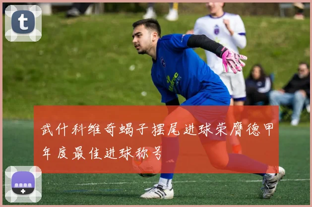 武什科维奇蝎子摆尾进球荣膺德甲年度最佳进球称号