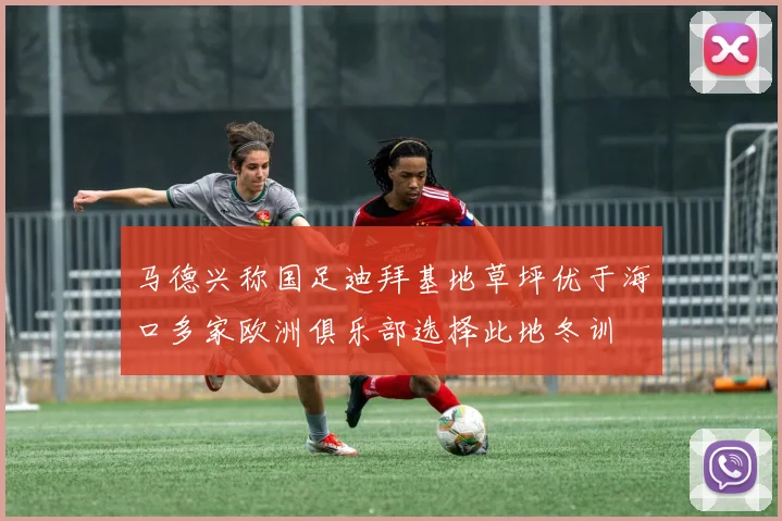 马德兴称国足迪拜基地草坪优于海口多家欧洲俱乐部选择此地冬训