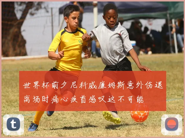 世界杯前夕尼科威廉姆斯意外伤退离场时痛心疾首感叹这不可能